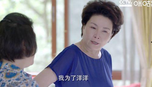 国产母子,传承与创新的故事